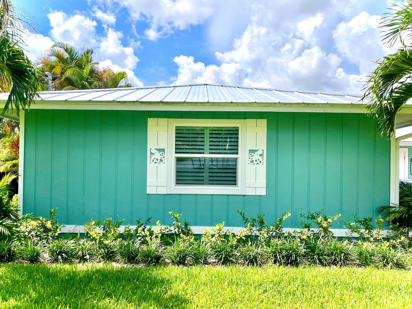 Weatherproof Octopus Window Shutters for Outdoor Beach House or Coastal Home Decor (Standard Shutter Size)