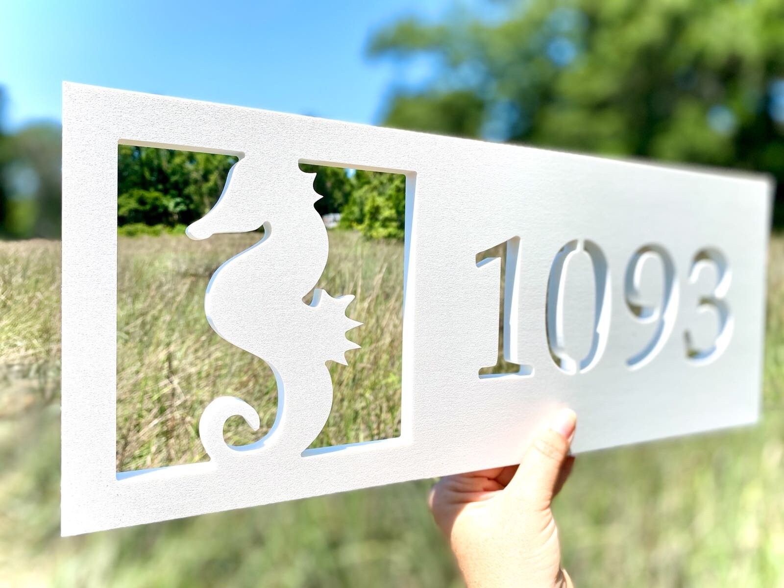 Horizontal Seahorse Address Sign, Weatherproof House Numbers, Coastal Beach House Exterior Decor, Home Address Plaque, Housewarming Gift