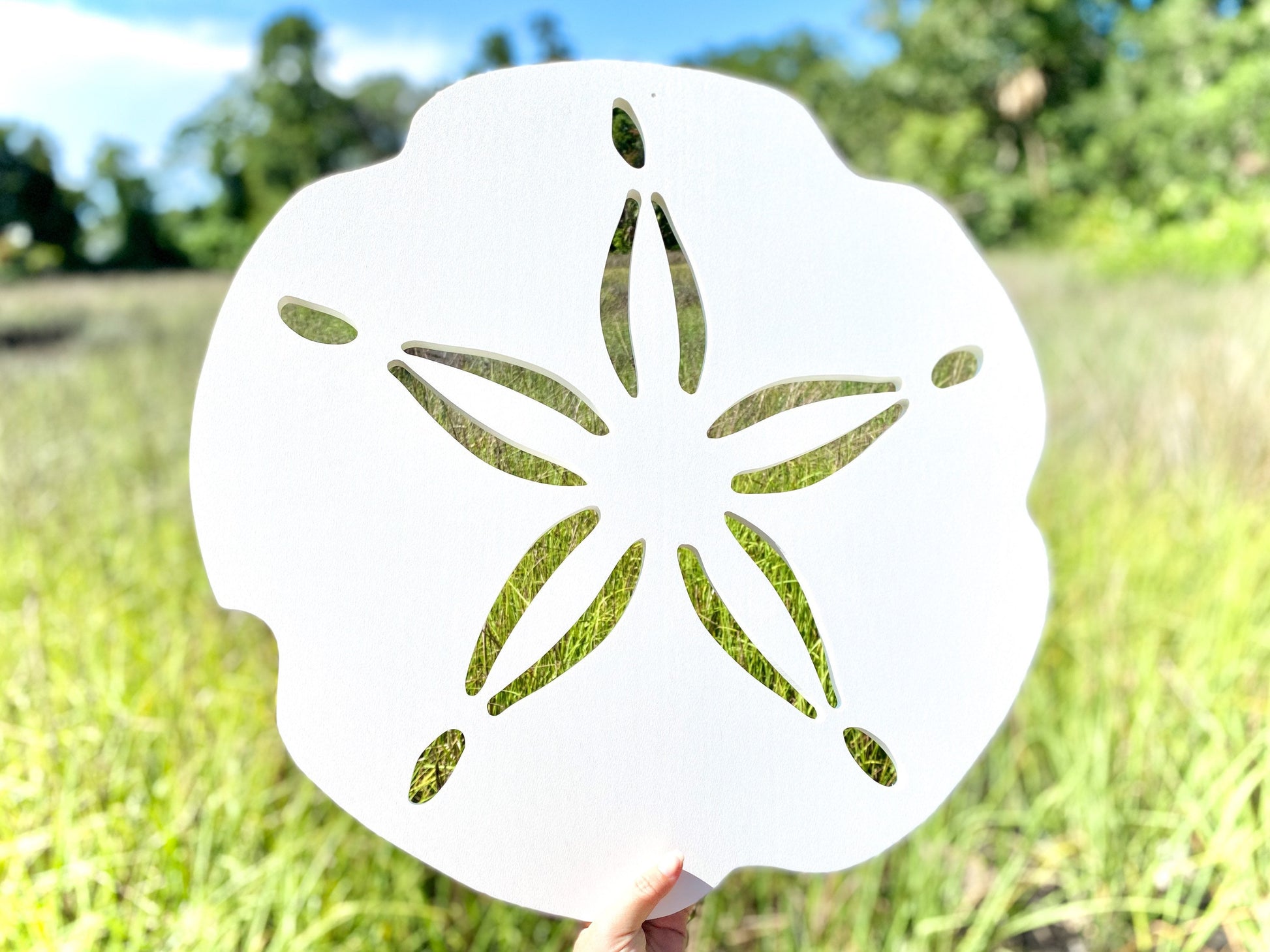 Weatherproof Sand Dollar, Large Outdoor Sand Dollar Sign for Beach House, Exterior Coastal Home Decor