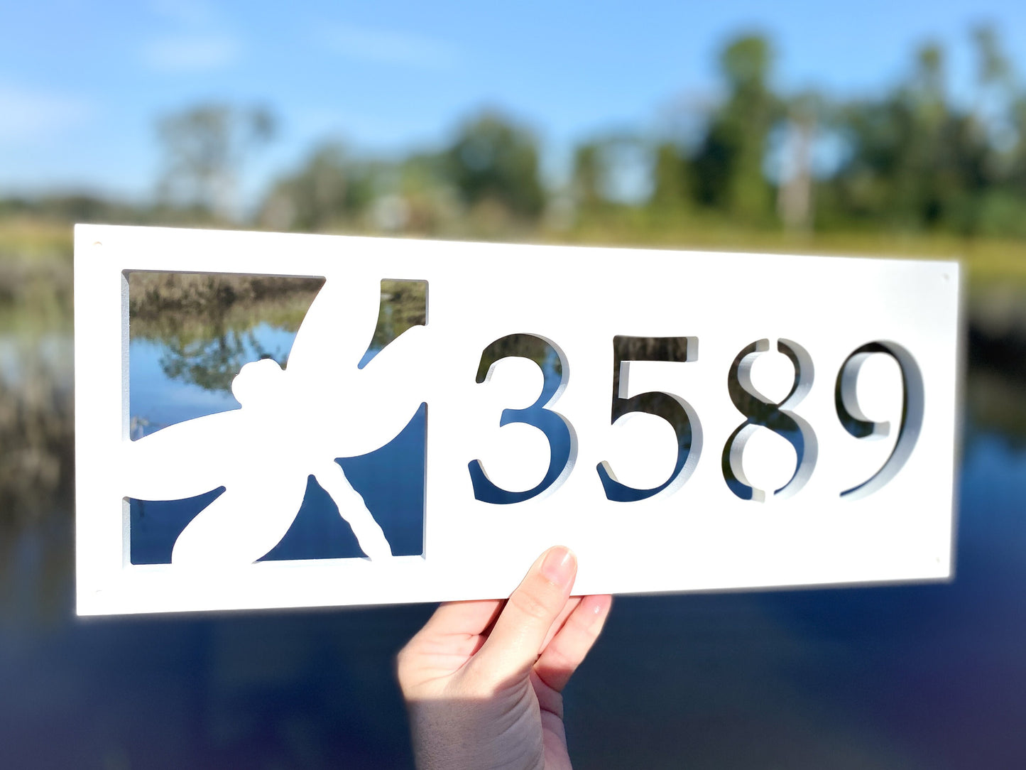 Dragonfly Address Sign for House, Horizontal House Numbers, Weatherproof Outdoor PVC, Dragon Fly Exterior Home Decor, Garden Address Plaque