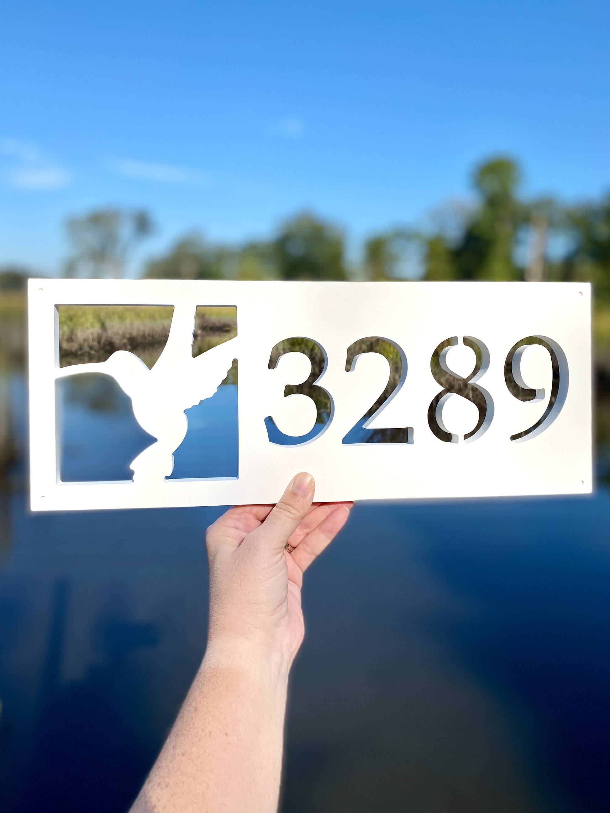 Hummingbird Address Sign, Horizontal House Numbers, Weatherproof Address, Exterior Home Decor, Garden Address Plaque, Gift For Bird Lover