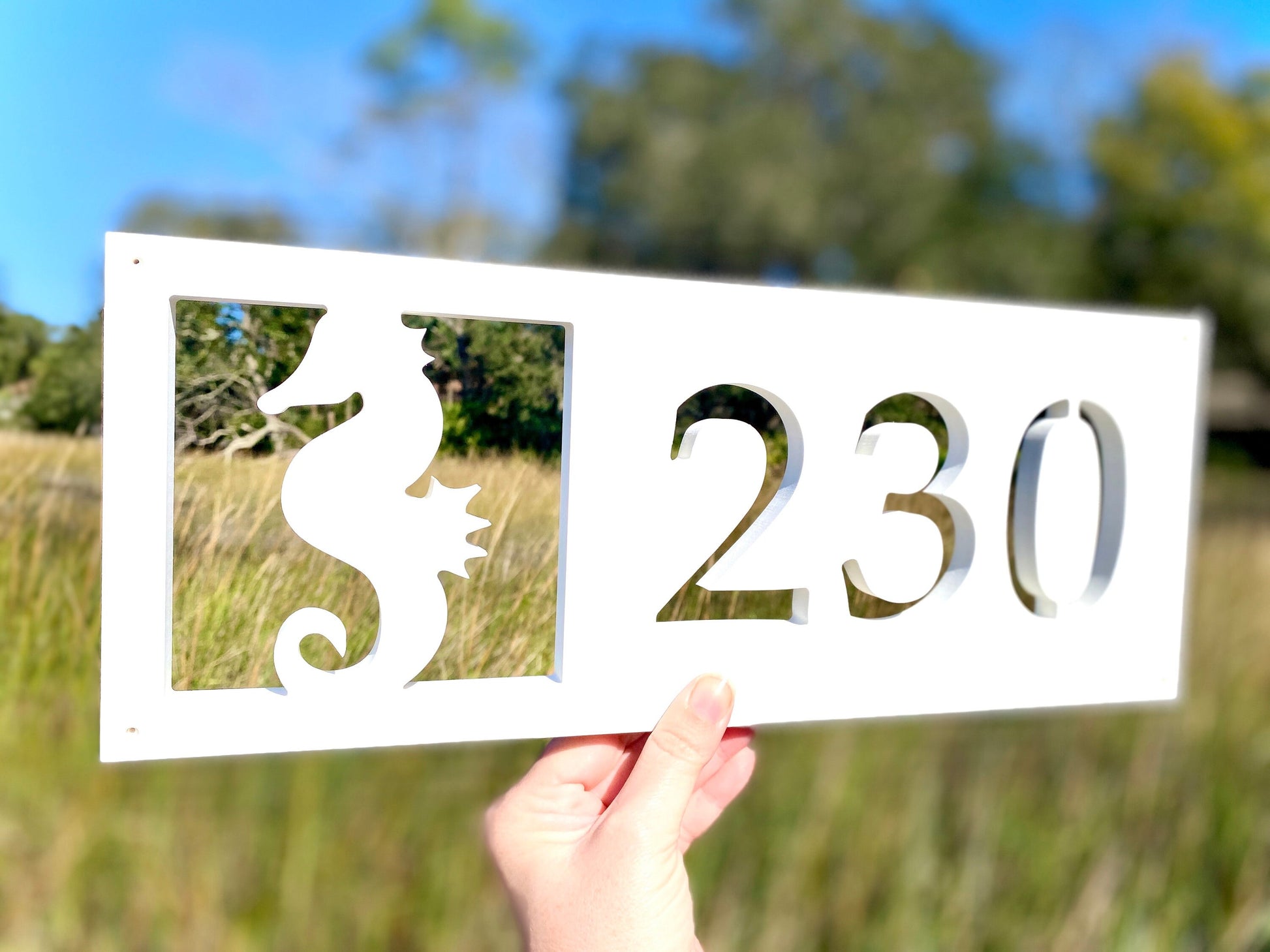 Horizontal Seahorse Address Sign, Weatherproof House Numbers, Coastal Beach House Exterior Decor, Home Address Plaque, Housewarming Gift