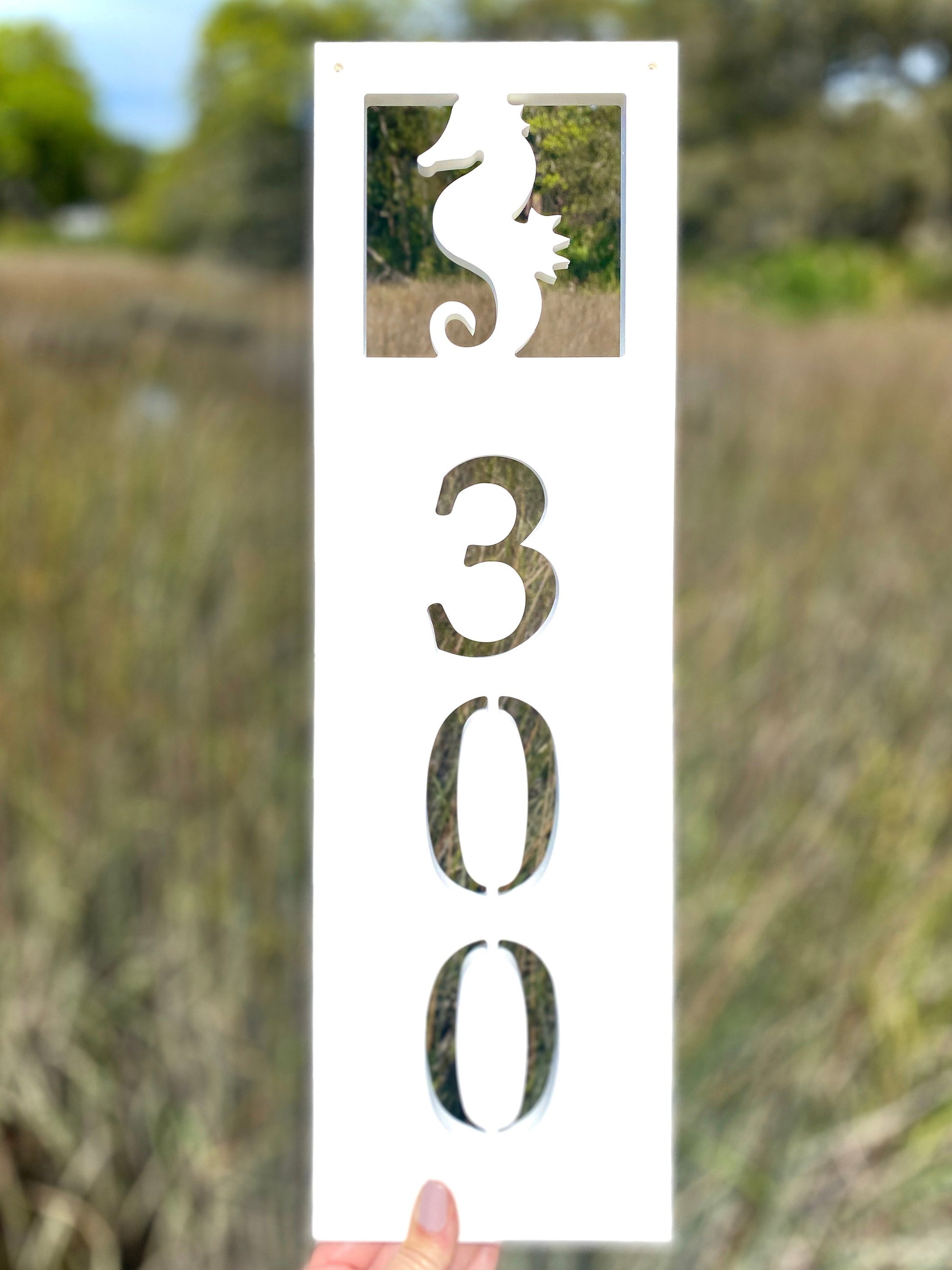 Vertical Seahorse Address Sign, Coastal Beach House Address Plaque, Weatherproof House Numbers, Exterior Home Decor, Housewarming Gift