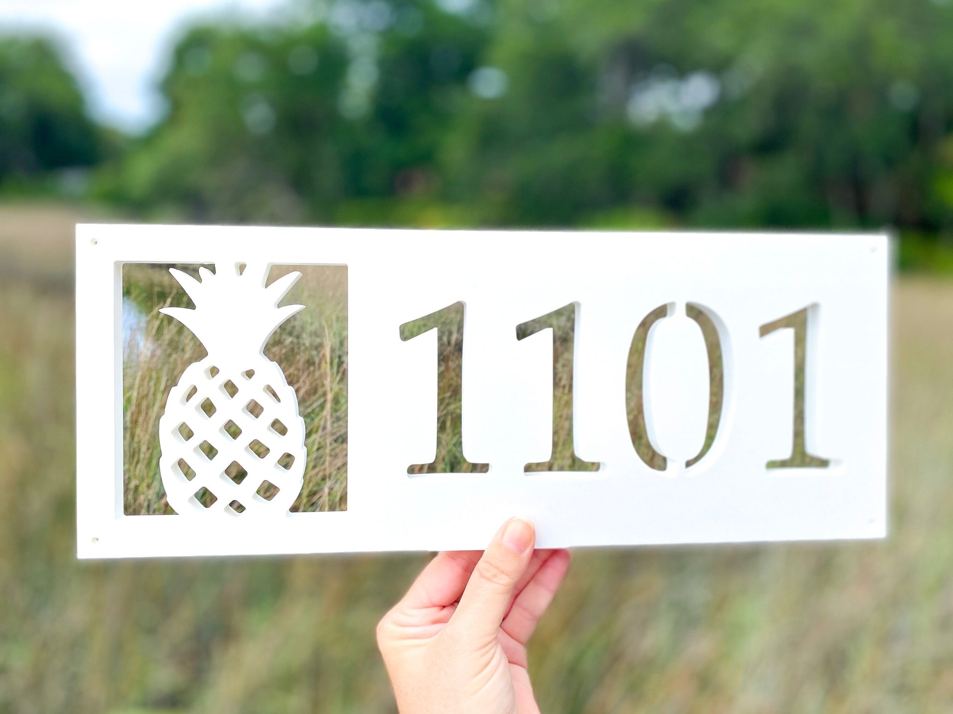 Horizontal Pineapple Address Sign, Weatherproof House Numbers, Tropical Exterior Home Decor, Coastal Beach House Decor, Housewarming Gift